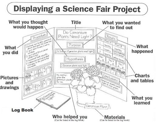 How To Make A Chart For A Science Fair Project